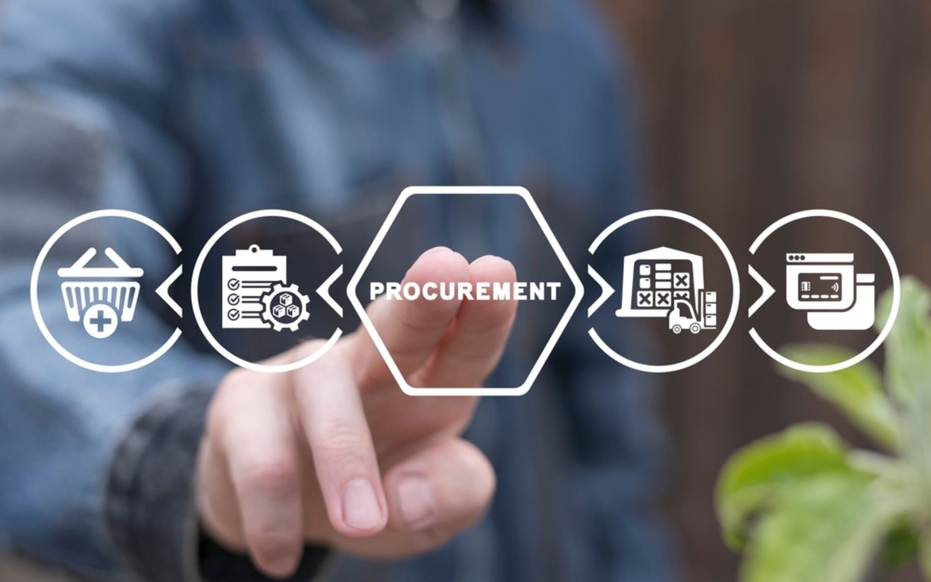 Raiven procurement audit