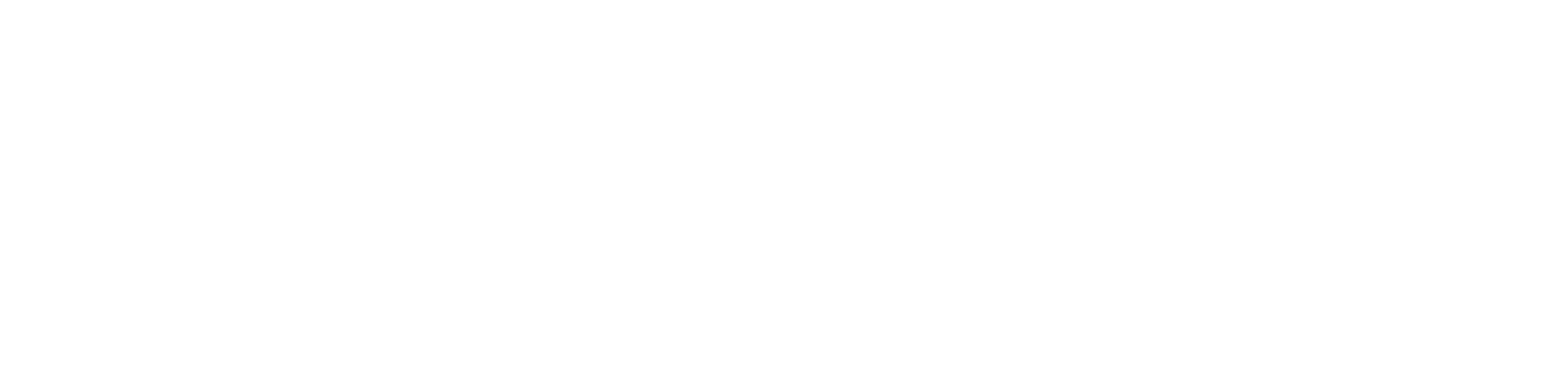 Raiven-Wordmark-White